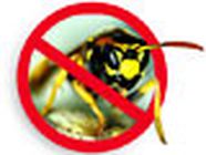 Gallot Destruction d'Insectes service pour animaux