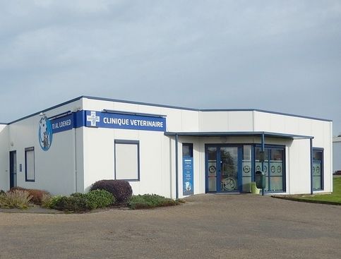 Clinique Vétérinaire Ti Al Loened vétérinaire (matériel et fournitures)