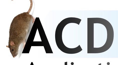 ACD Nuisibles service pour animaux