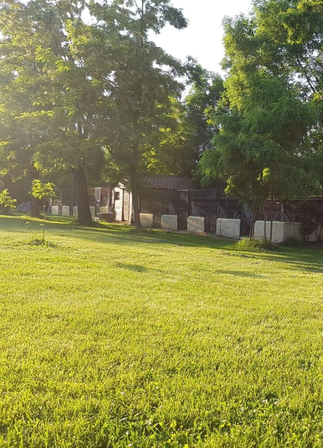 Chenil du causse chenil, pension pour chiens et chats