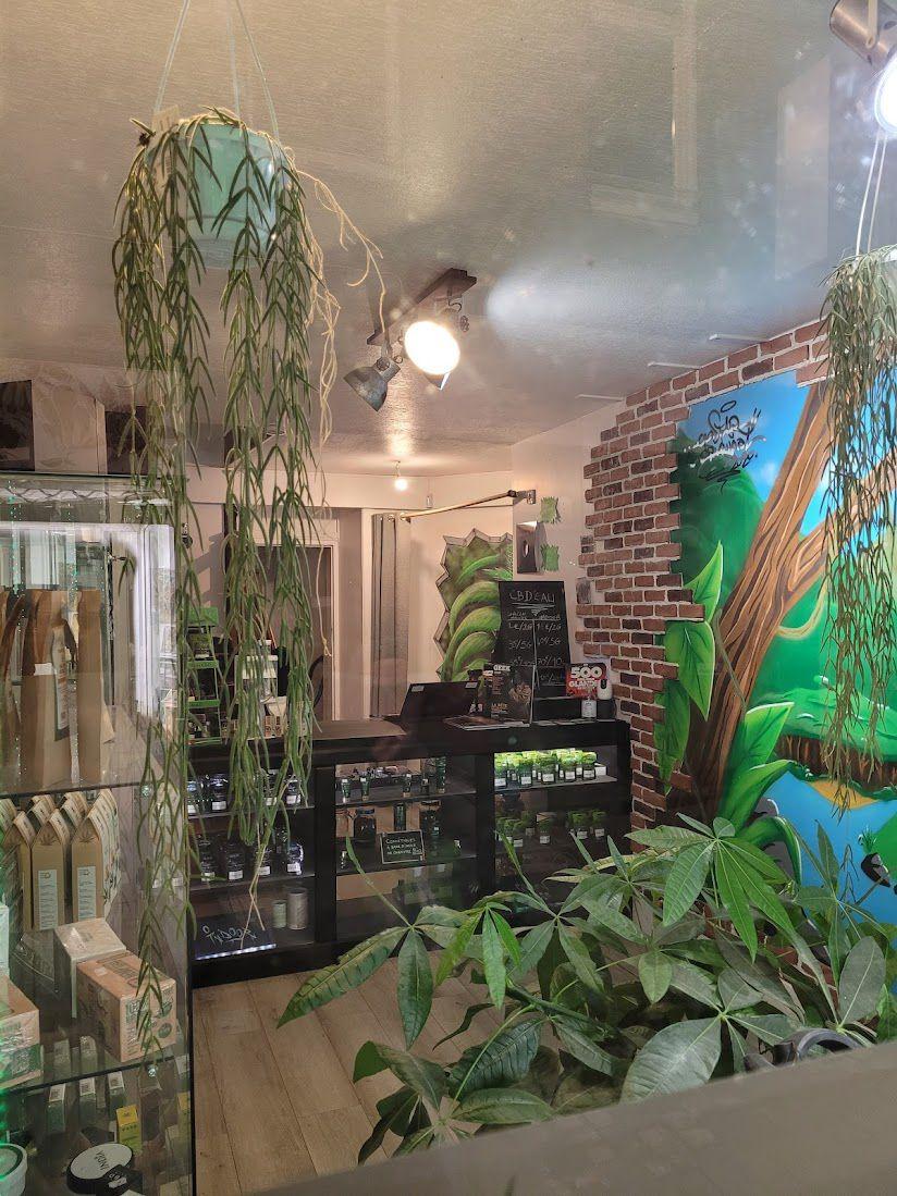 galerie image galerie image