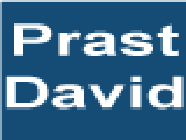 Prast David EURL Expert