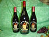 Domaine de la Teppe entrepôt et magasin général