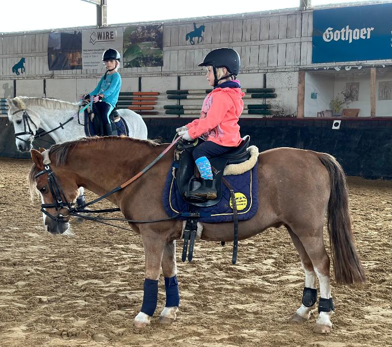 Reitschule Natalie Bancken in Heiden