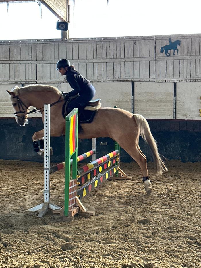 Reitschule Natalie Bancken in Heiden