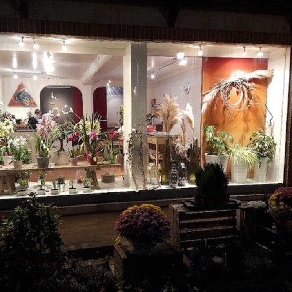 galerie image galerie image