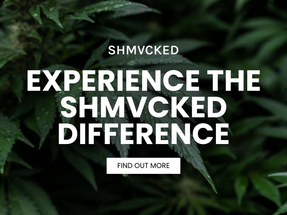 8_SHMVCKED_Experience the SHMVCKED Difference.jpg