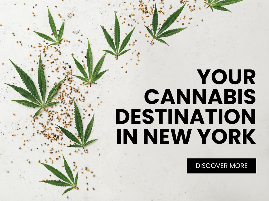 9_SHMVCKED_Your Cannabis Destination in New York.png