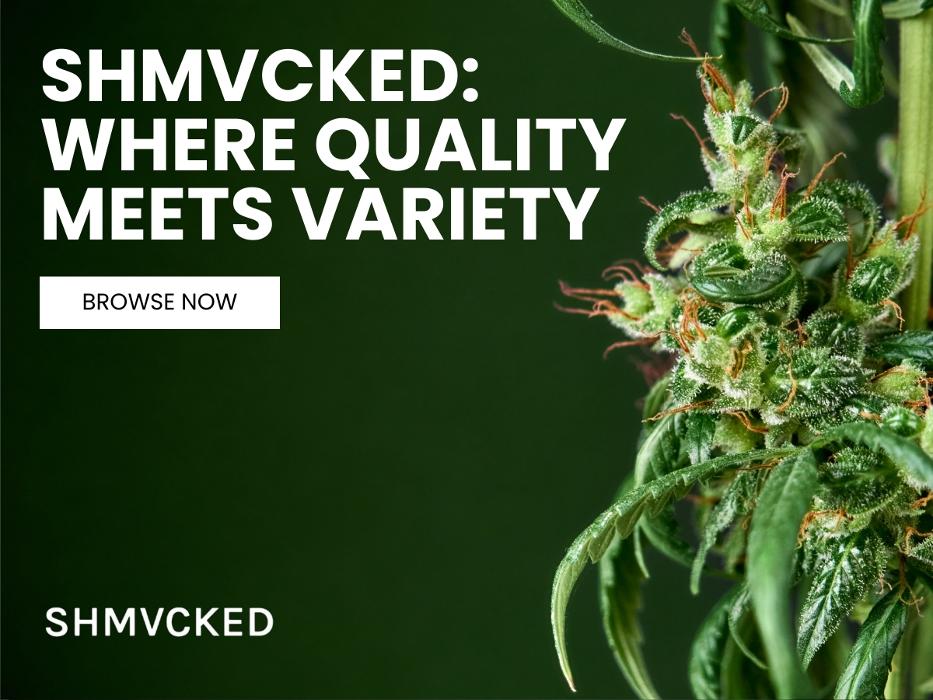 5_SHMVCKED_SHMVCKED_ Where Quality Meets Variety.jpg