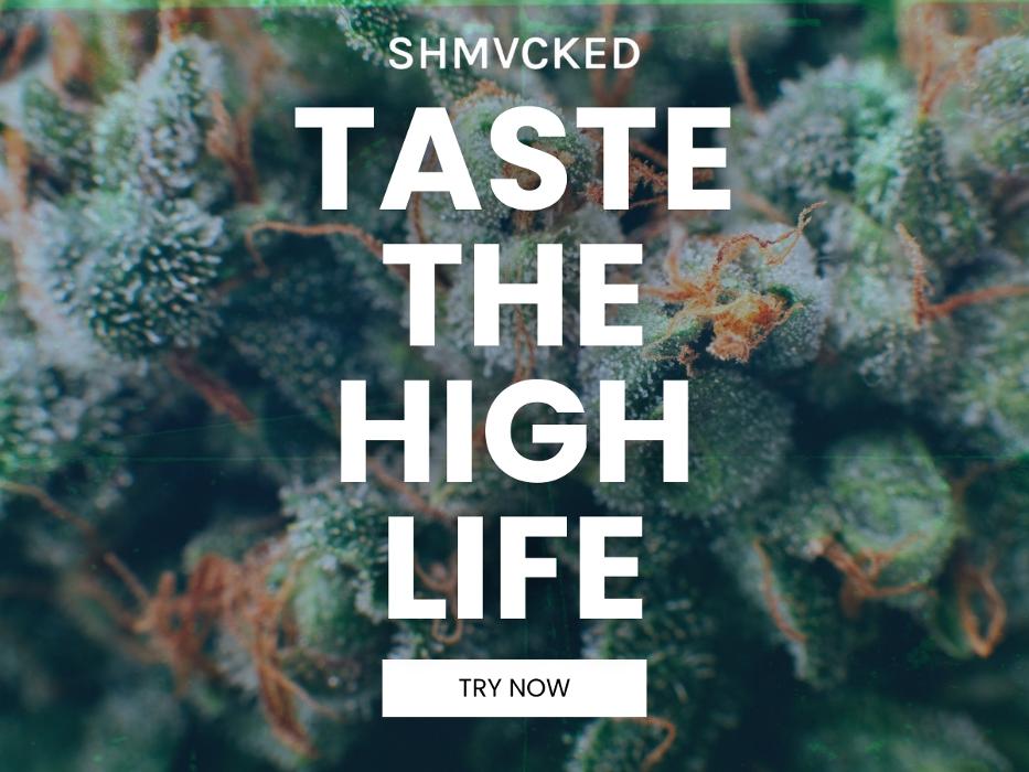 6_SHMVCKED_Taste  The  High  Life.jpg