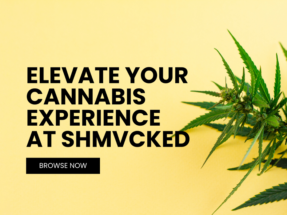 5_SHMVCKED_New York_s Premier Recreational Dispensary.png