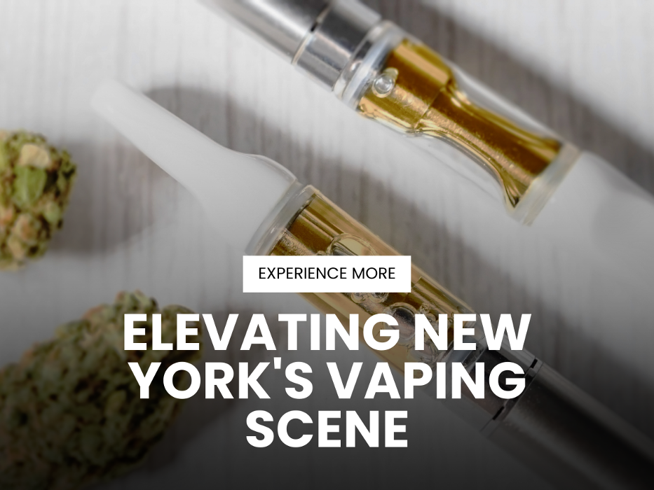 12_SHMVCKED_Savor the Flavor with SHMVCKED Edibles.png