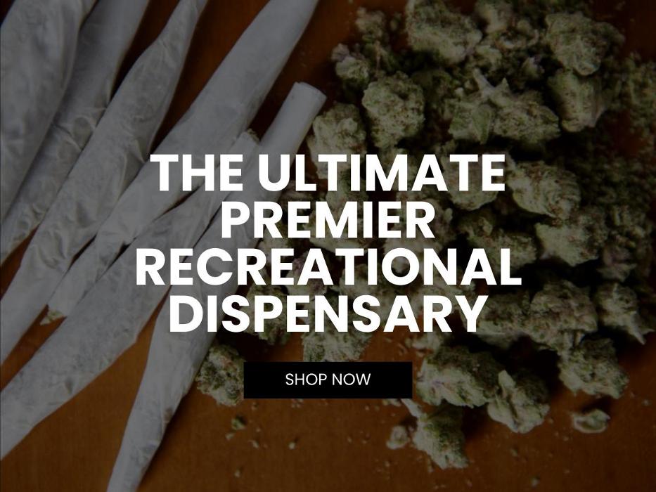 4_SHMVCKED_New York_s Premier Recreational Dispensary.jpg