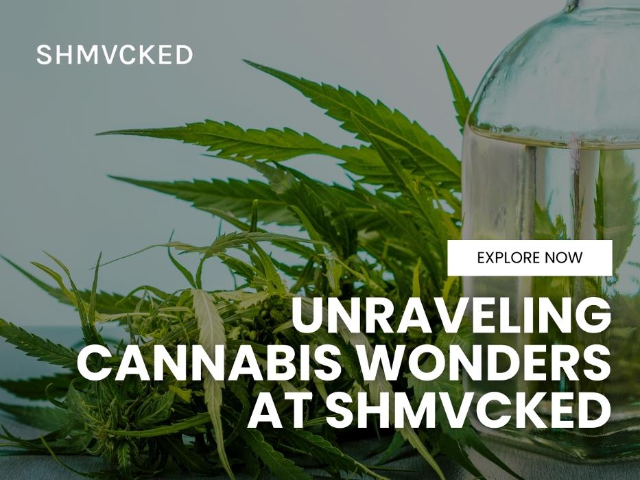 2_SHMVCKED_Unraveling Cannabis Wonders at SHMVCKED.jpg