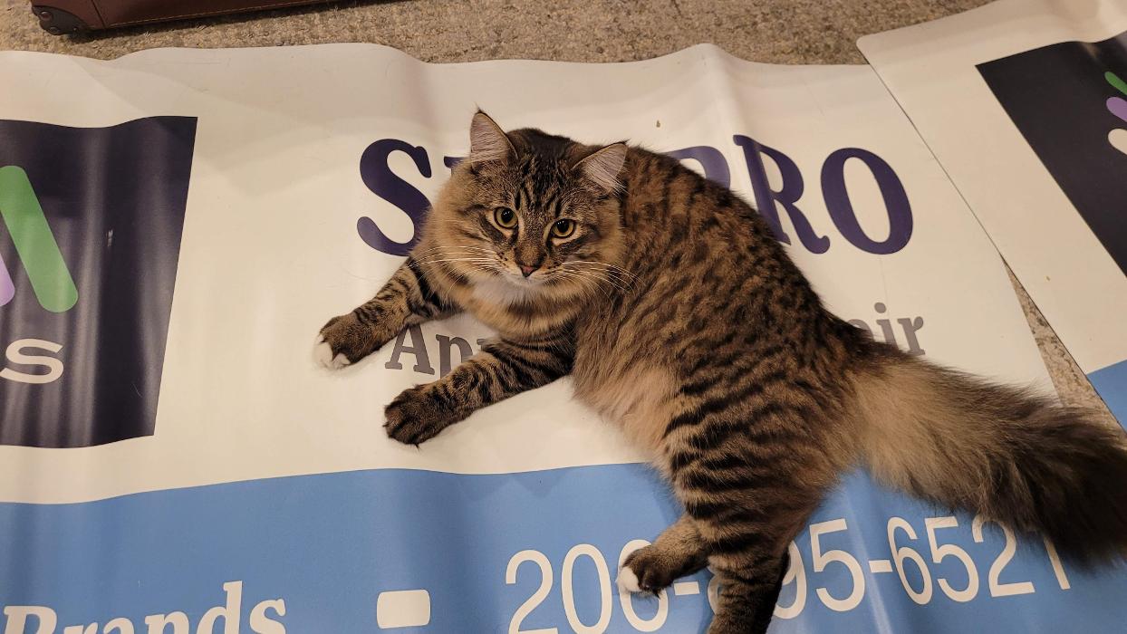 SPS PRO Furnace & Appliance Repair - Seattle, WA