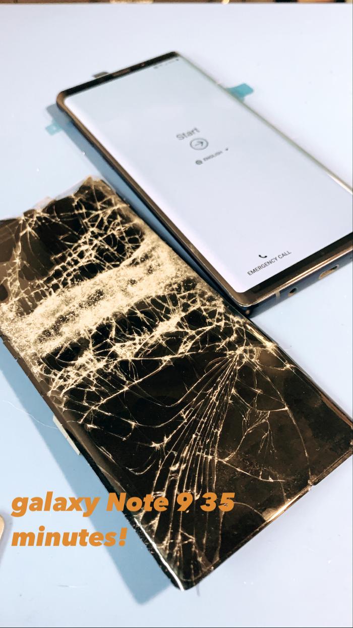 Repaired Collective - Brooklyn, NY