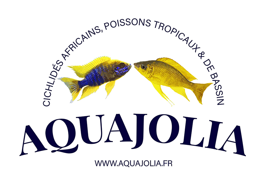 Aquajolia poissonnerie (détail)