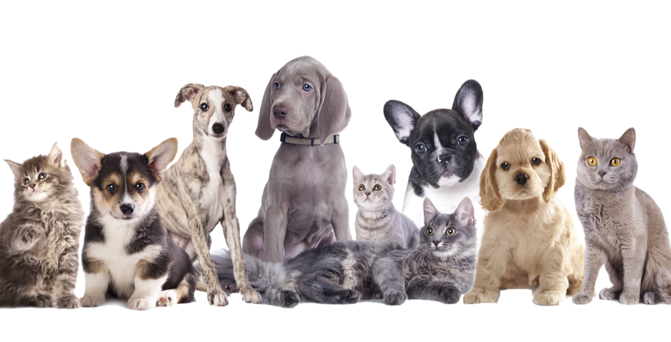 Panama City Beach - Panama City, FL