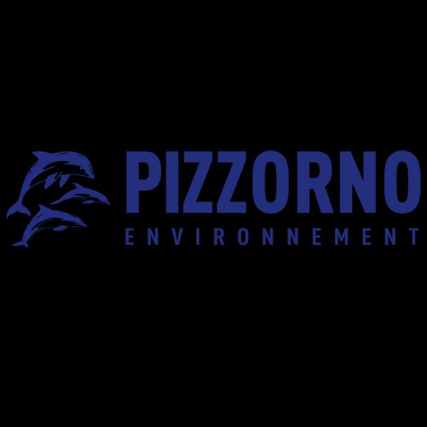 Groupe Pizzorno Environnement réparation et restauration (objets divers)
