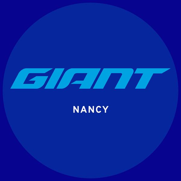 Giant réparation et restauration (objets divers)