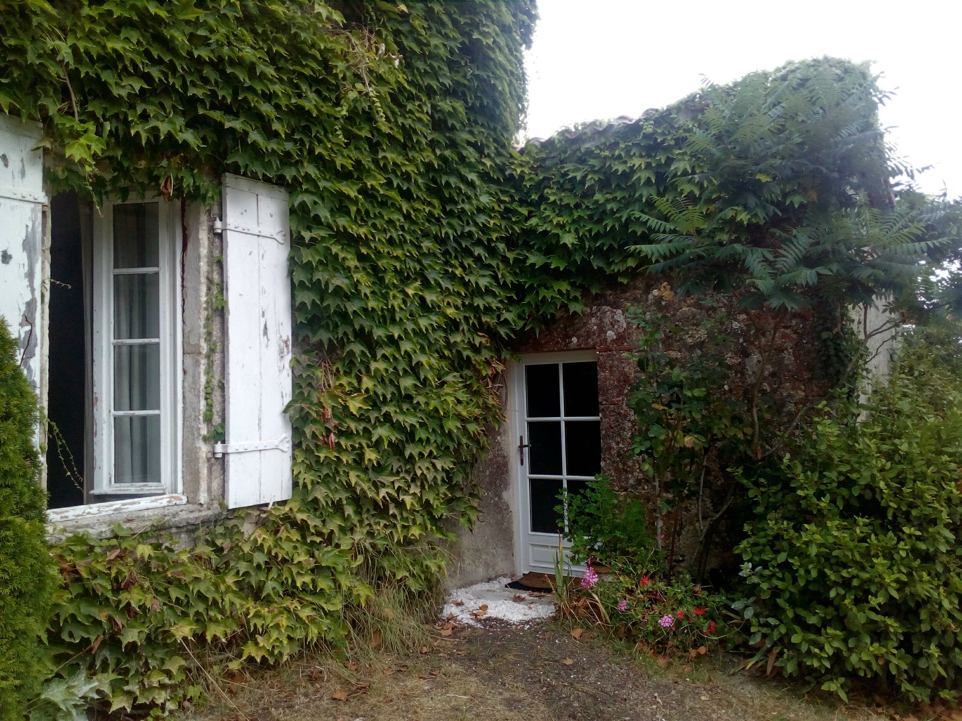 galerie image