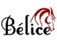 Ecole d'Equitation Du Bélice établissement d'éducation spécialisée