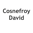 Cosnefroy David Expert