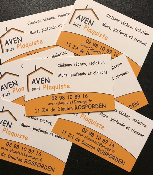 AVEN PLAQUISTE Expert