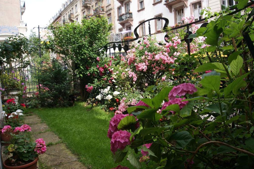 galerie image