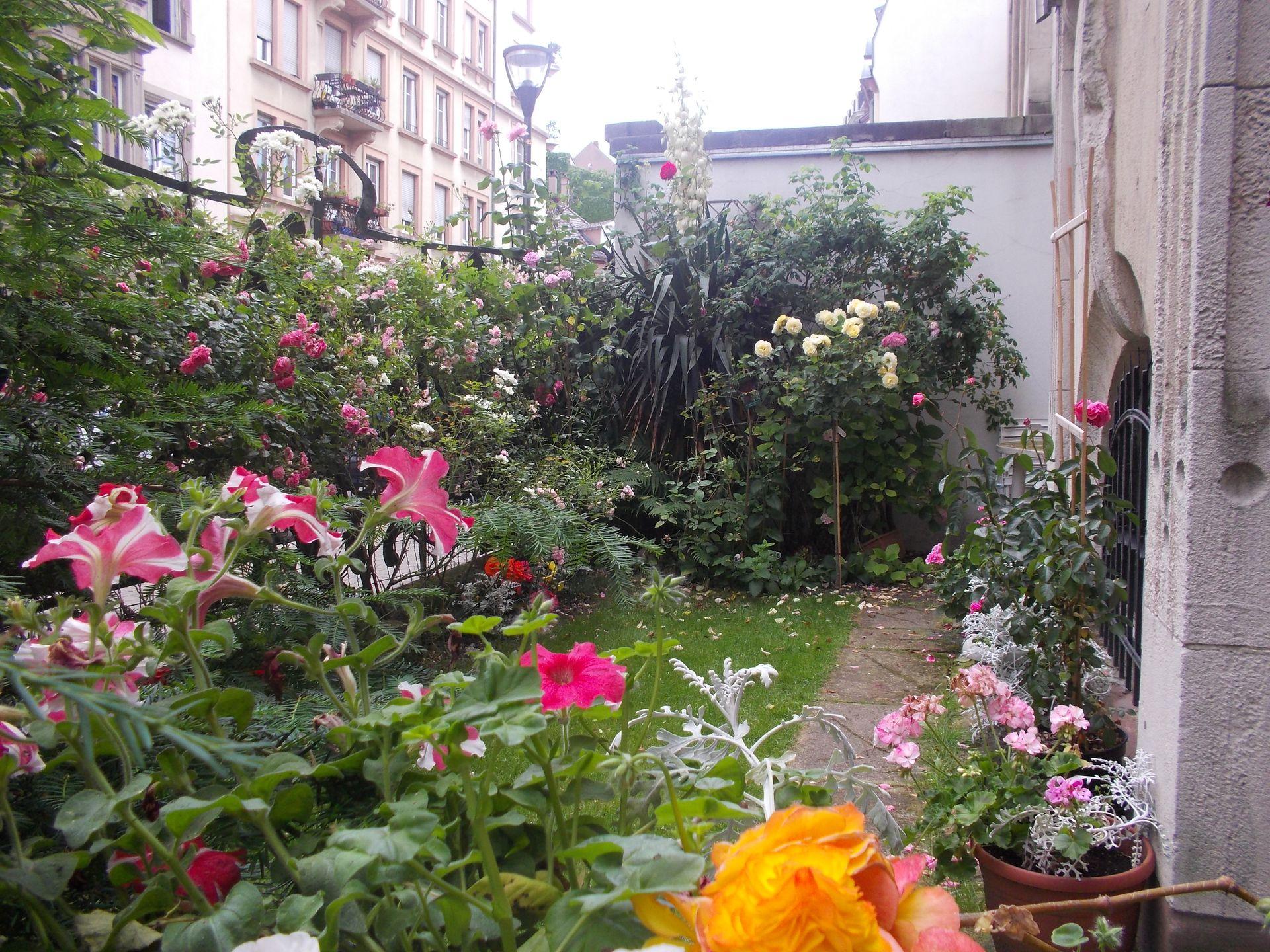 galerie image