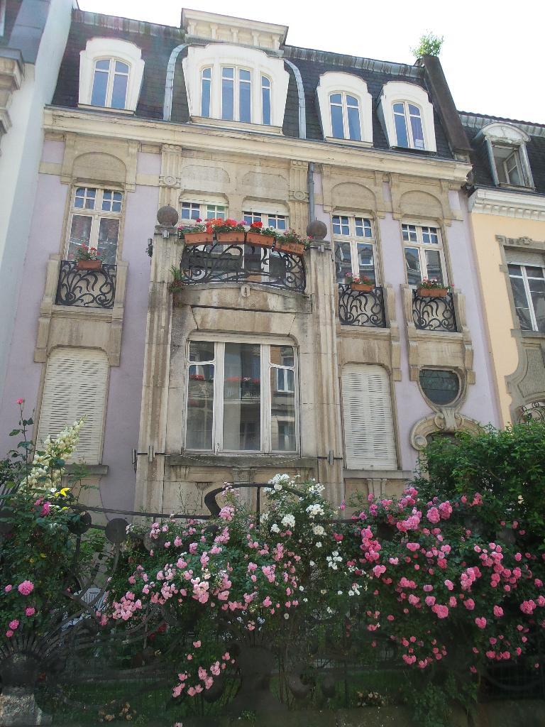 galerie image