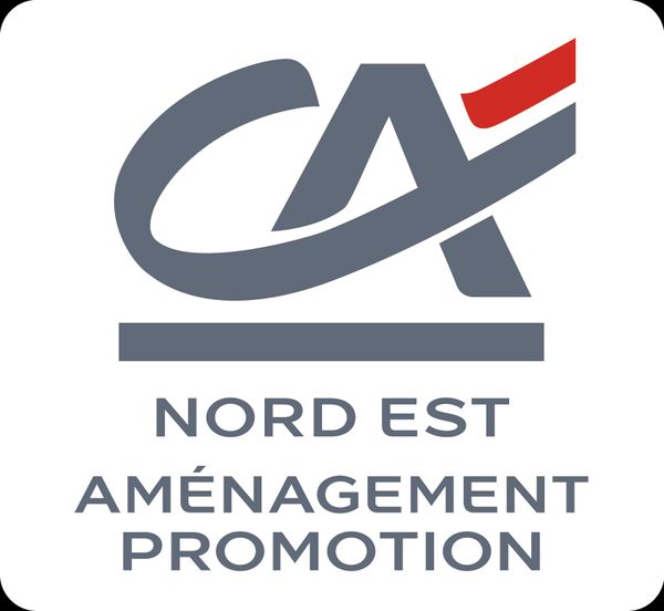 Nord Est Aménagement Promotion conseil en immobilier d'entreprise