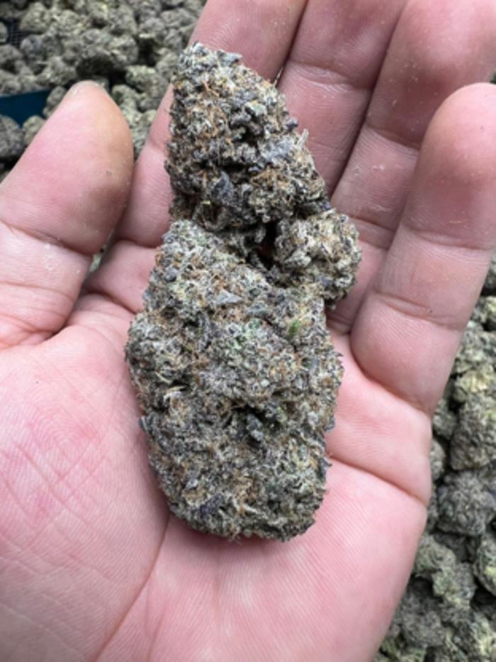 Green Magik Express