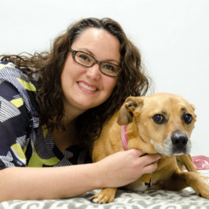 24/7 PetVets