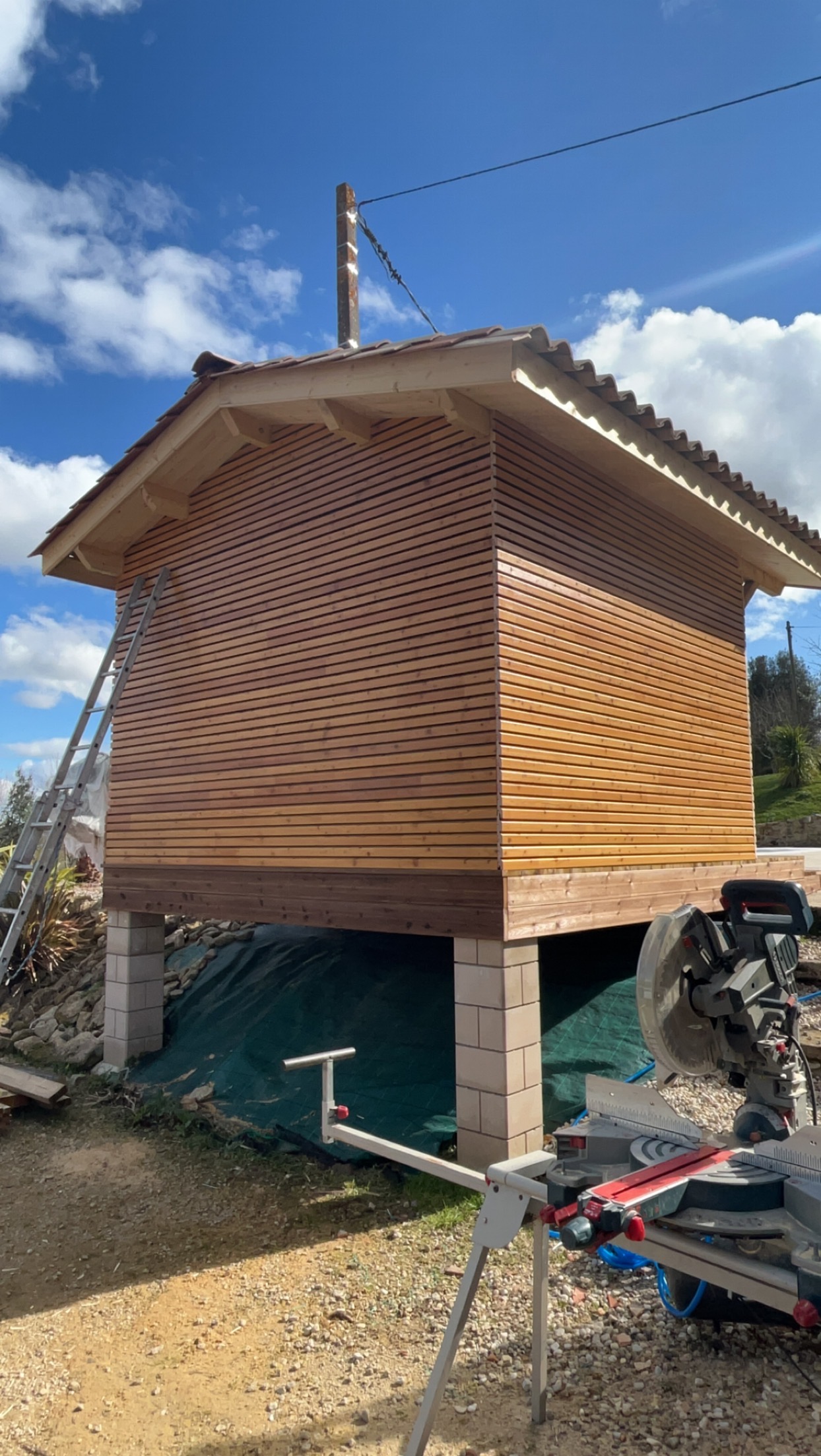 Miniature de la galerie