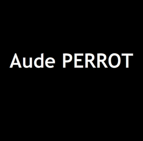 AUDE LE SAGE