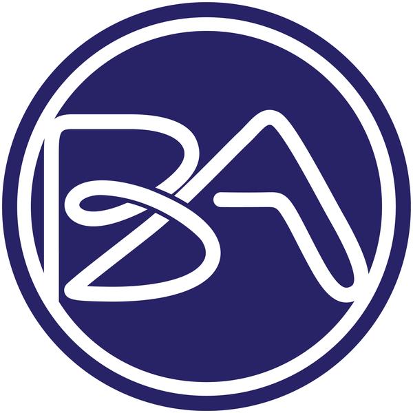 BA électricité Expert