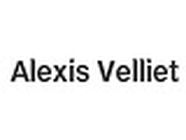 Alexis Velliet Art conseil départemental