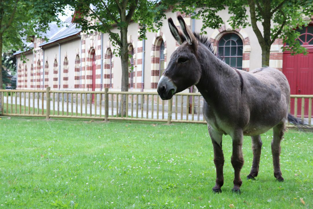 galerie image galerie image