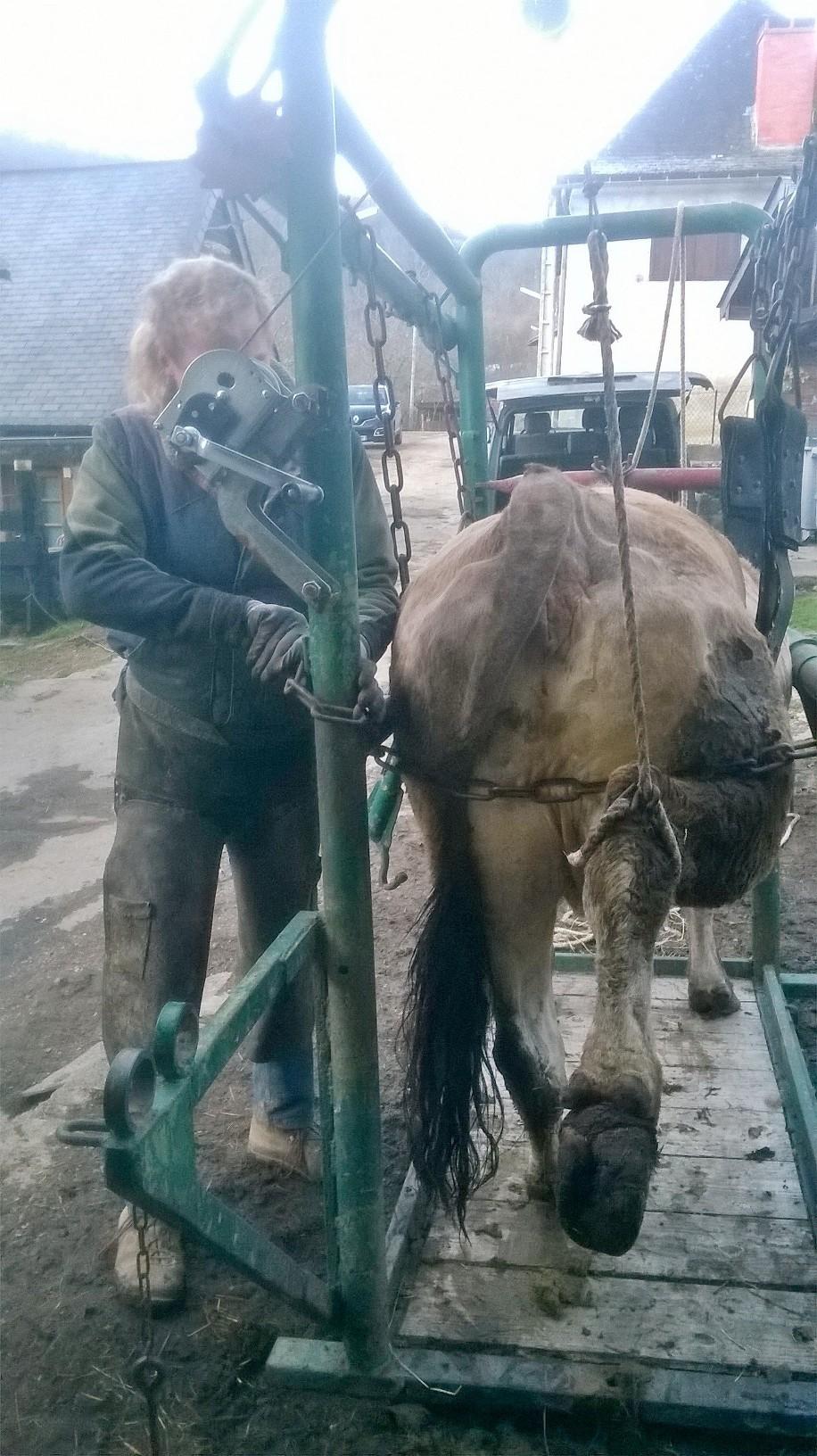 galerie image galerie image