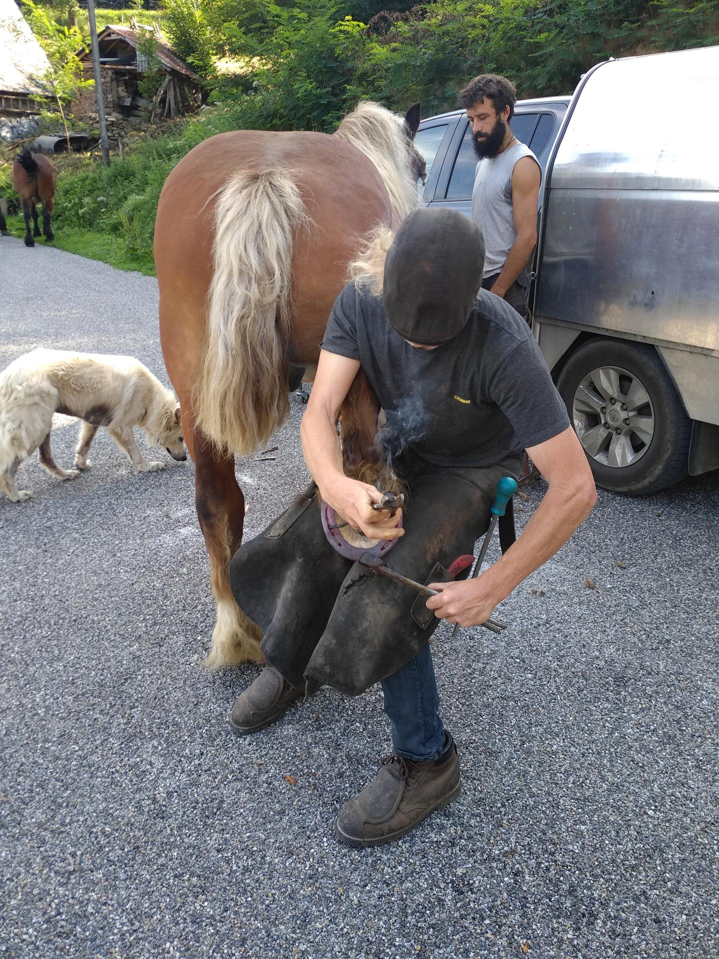 galerie image galerie image