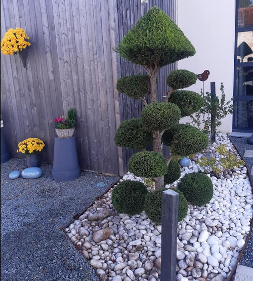 galerie image