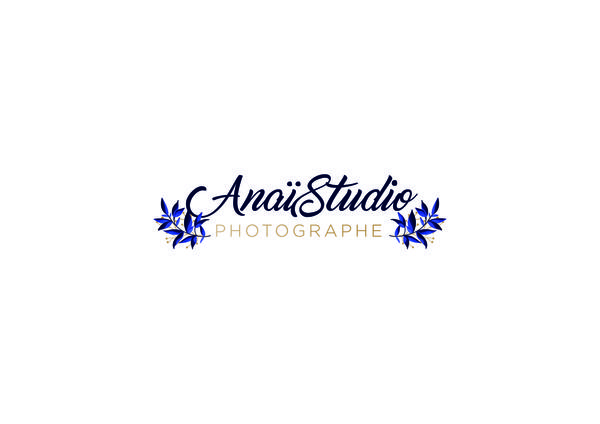 AnaiStudio lycée professionnel et technique privé