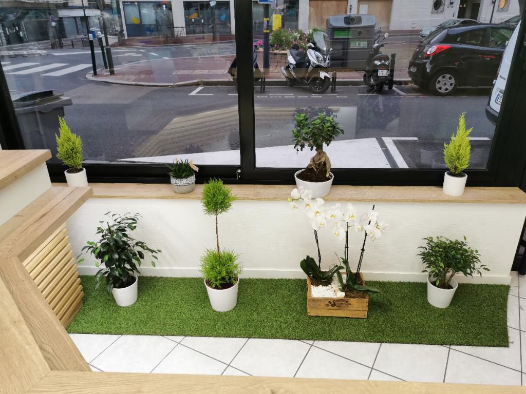 galerie image
