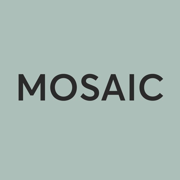 Agence Mosaic agence immobilière
