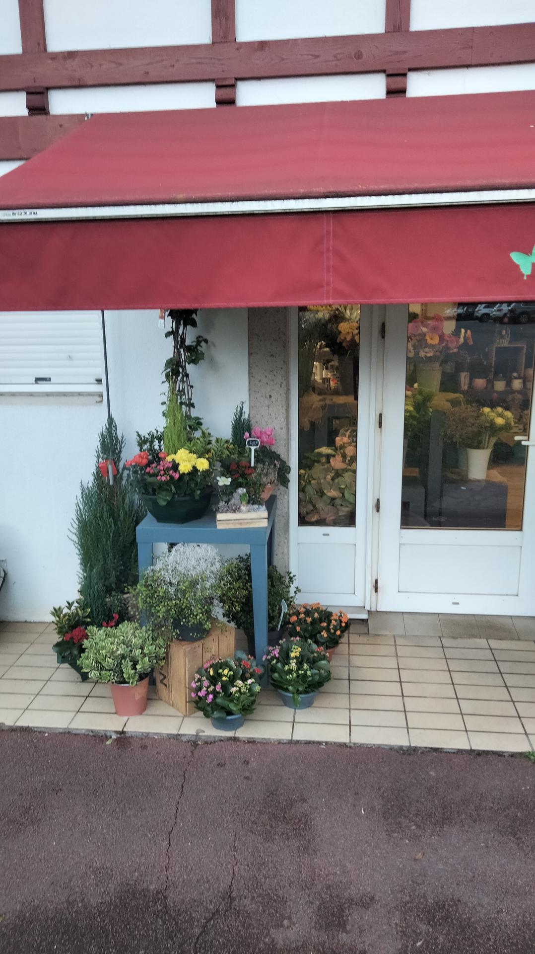 galerie image galerie image