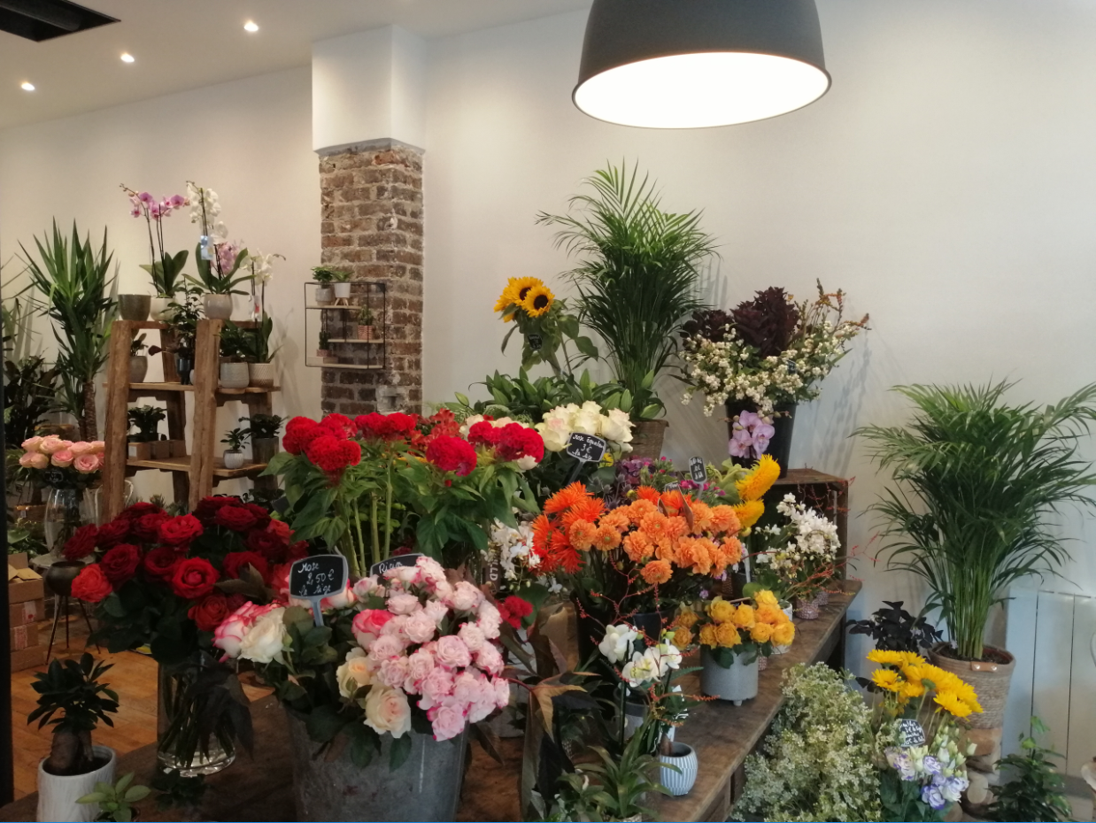 galerie image galerie image