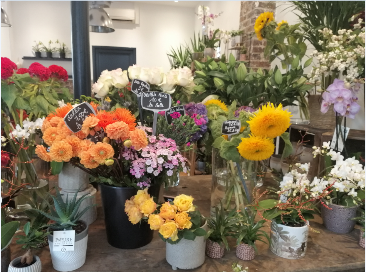 galerie image galerie image