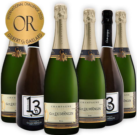Champagne Guy Dumangin vin (producteur récoltant, vente directe)
