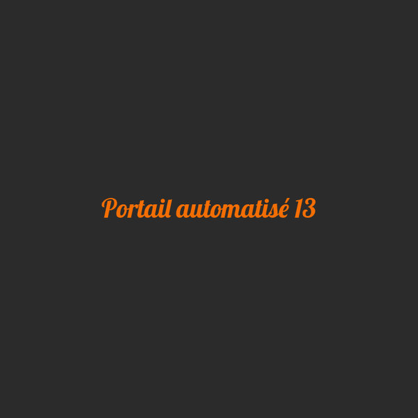 Portail Automatise 13 Expert